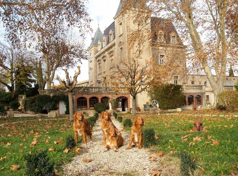 Le Mogador Chateau Du Martinet Violes Ngoại thất bức ảnh